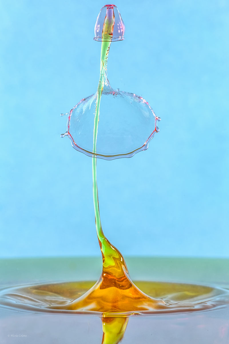 STILL LIFE MINIMONDO