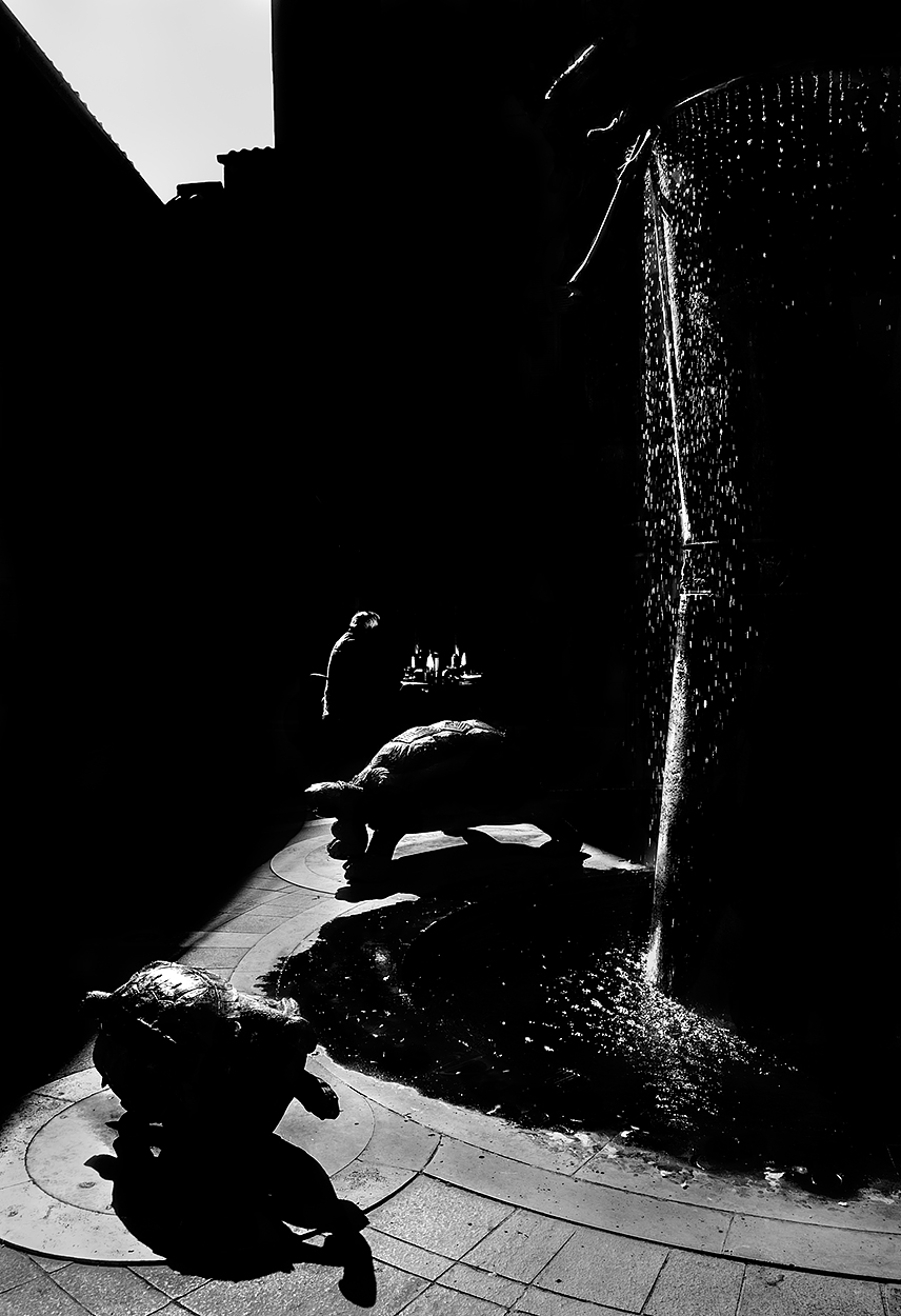 Profili di citt� 04