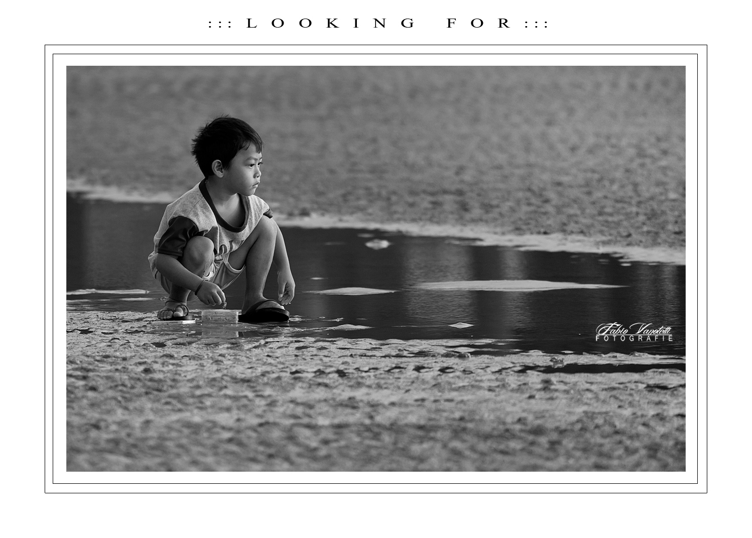 :::  L O O K I N G   F O R  :::