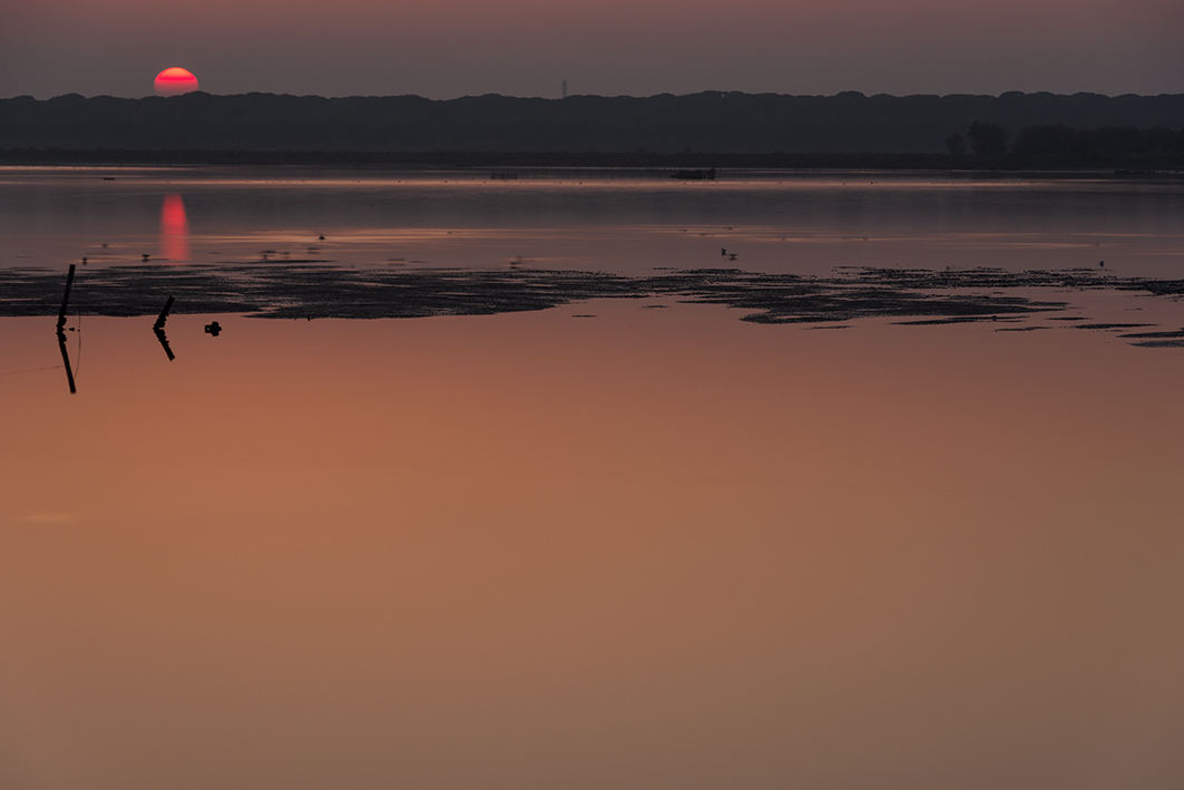 Dedicata a Clara.....