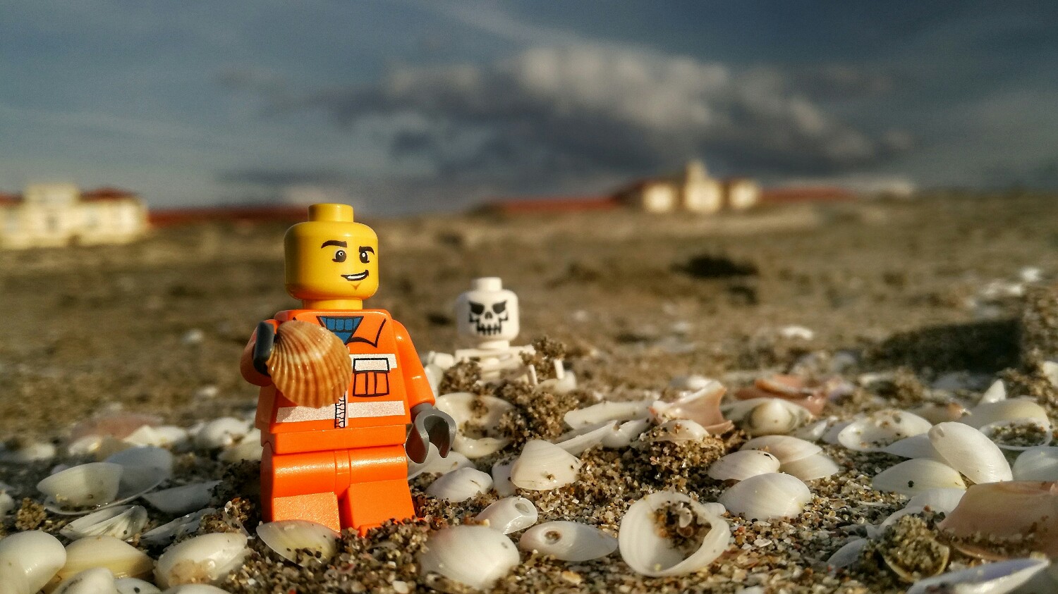 Finding shells... and bones