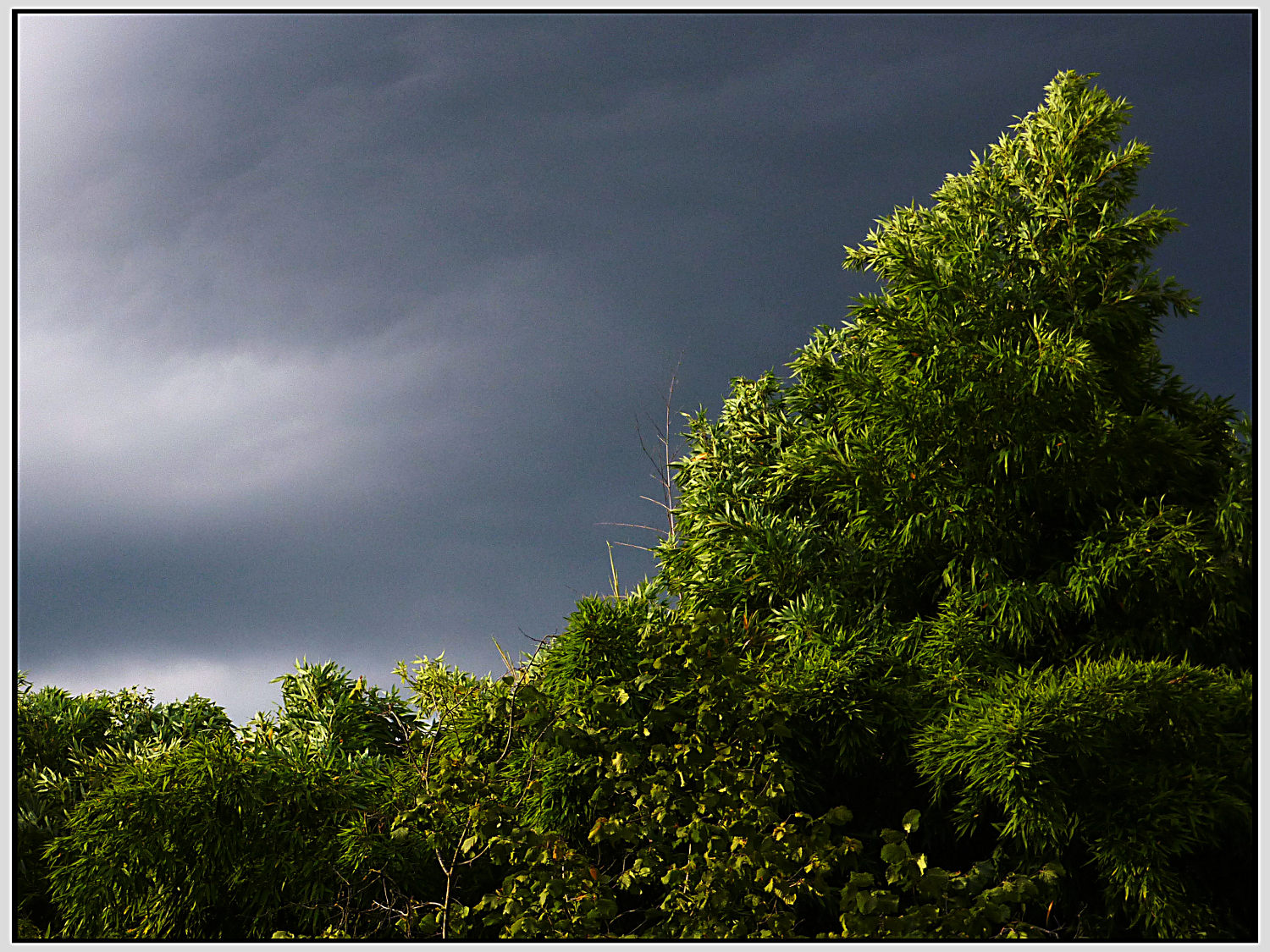 E' arrivato il temporale!