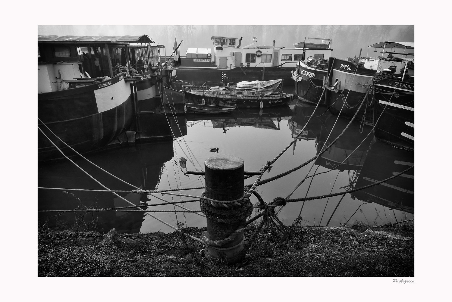 P�niche - La Senna