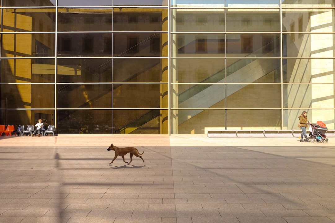 riflettendo in cortile