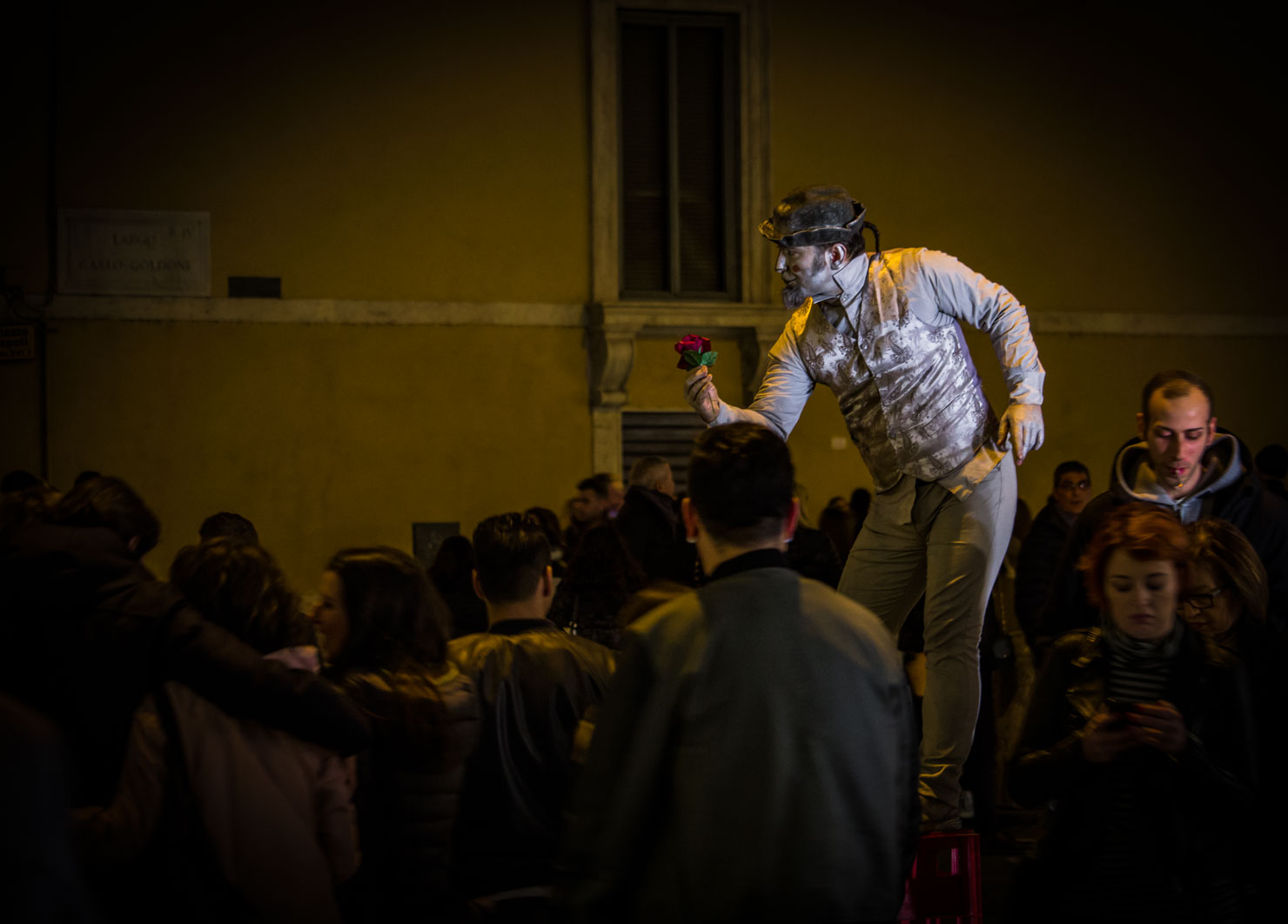 Una rosa nell'indifferenza