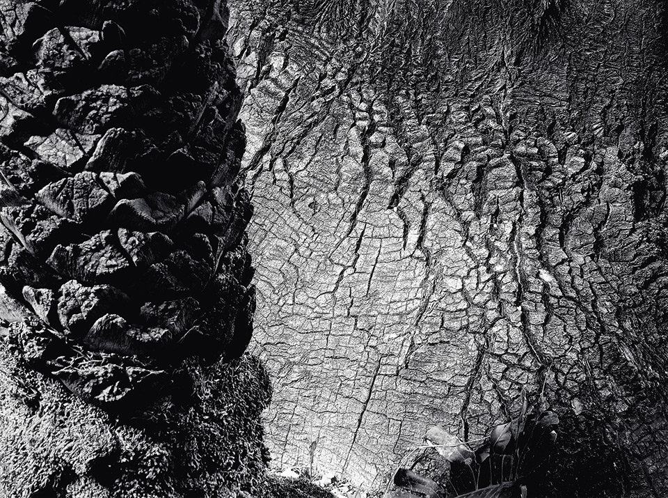 Il mio mondo a colori...