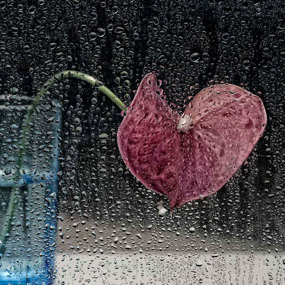 oltre la trasparenza...