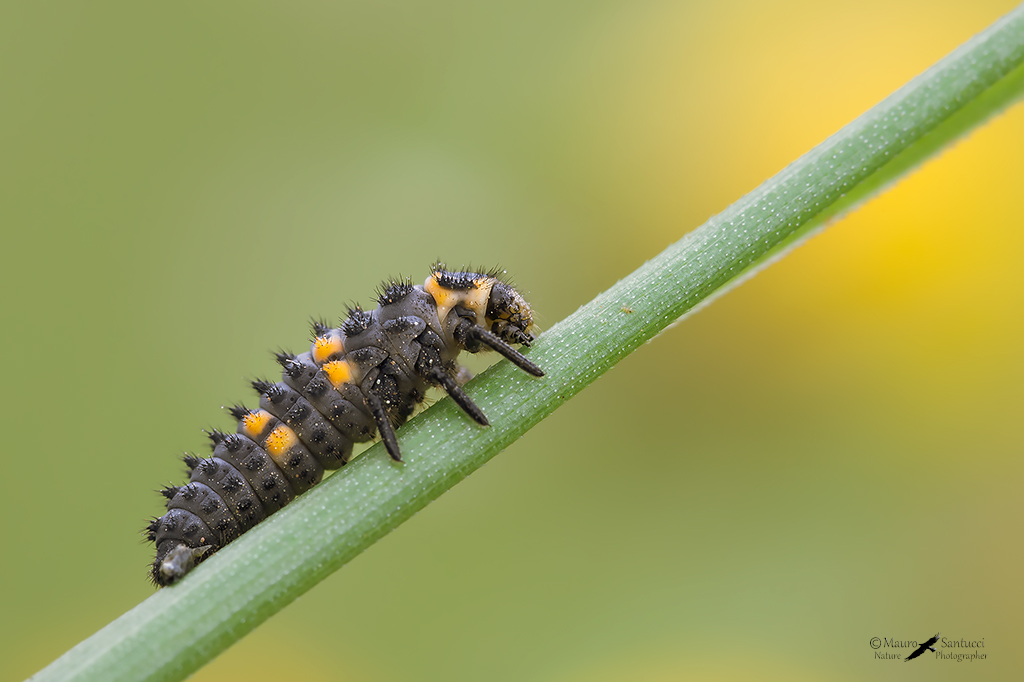 Salita verso il sole