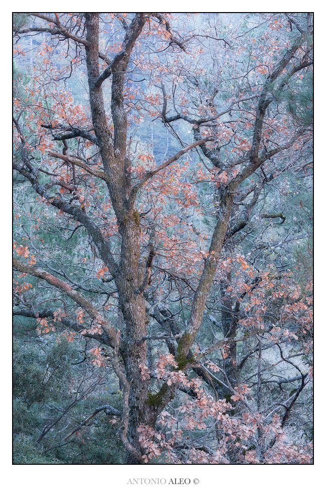 L'abisso della mente