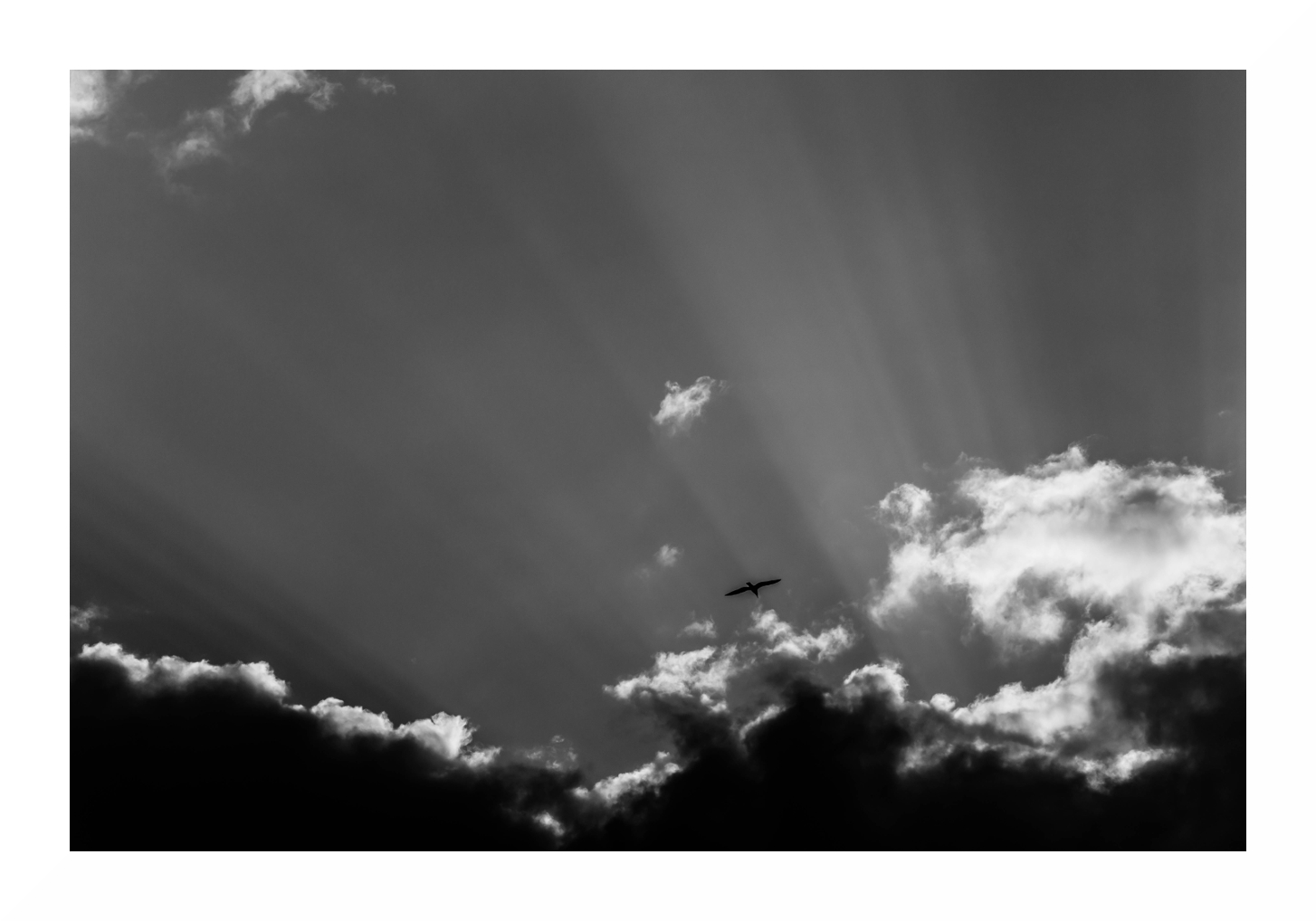 To the light