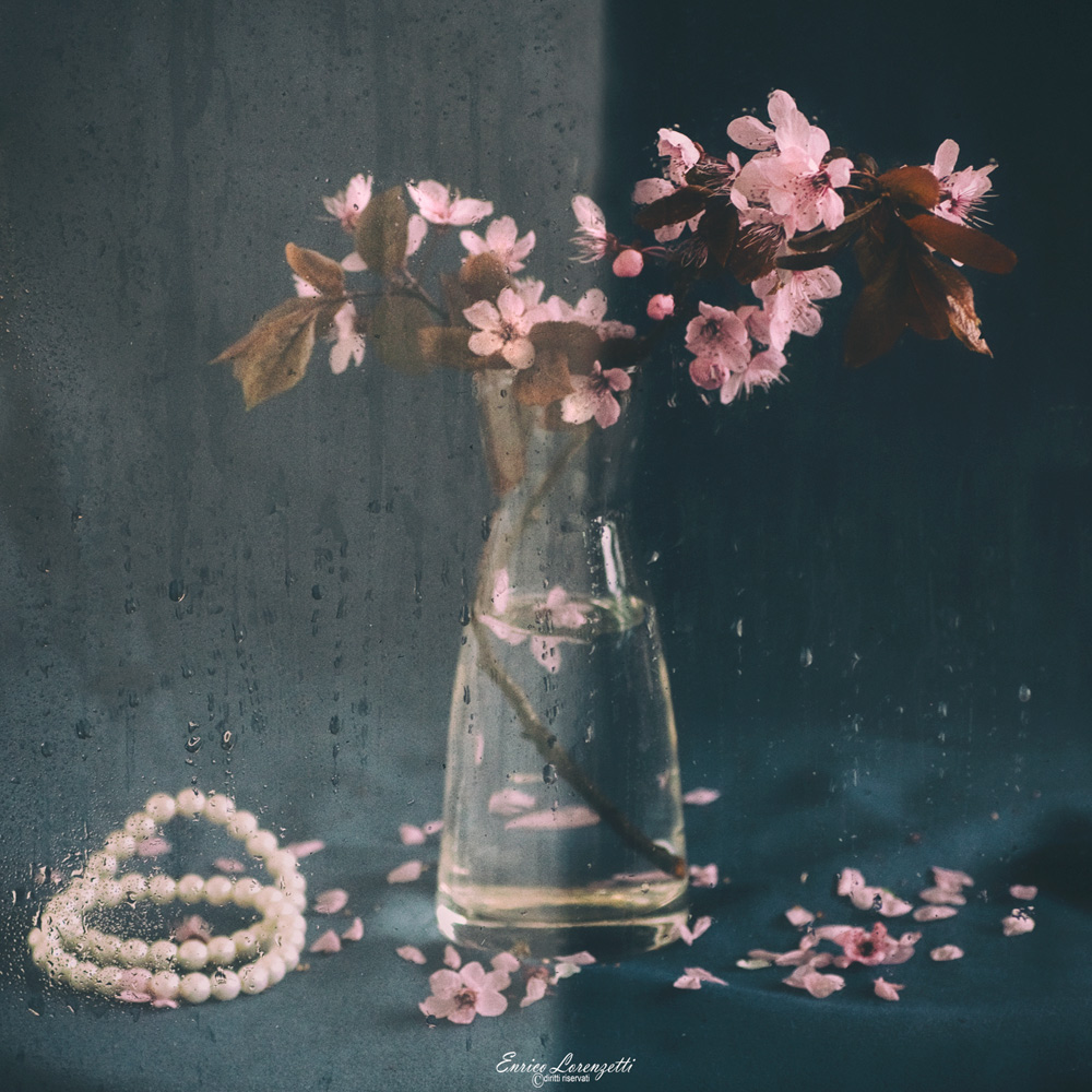 una piovosa primavera...