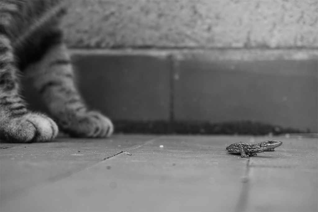 Se non mi giro... il mostro sparisce