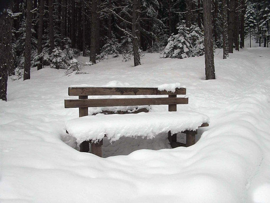 aspettando l'estate