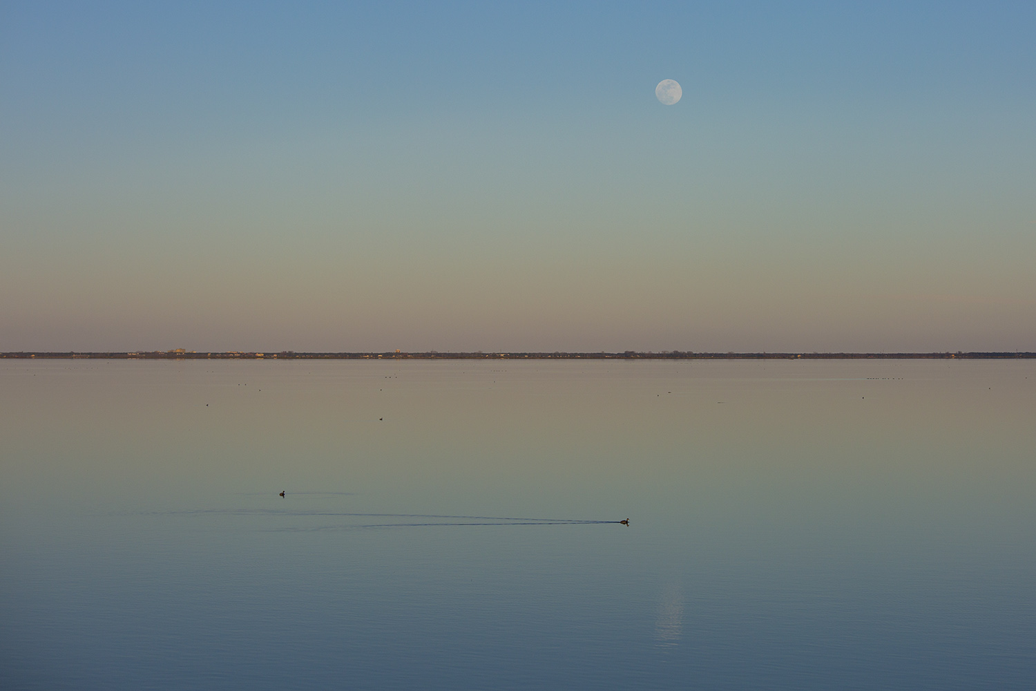luna su valli di Comacchio