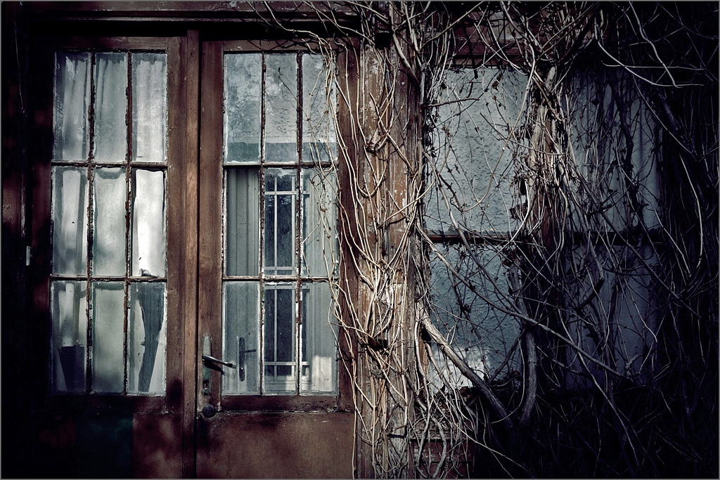 Ultimo domicilio conosciuto