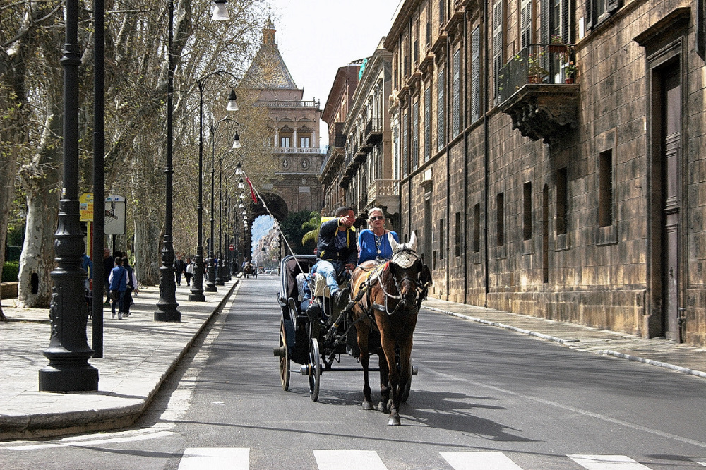 Guida turistica in carrozza