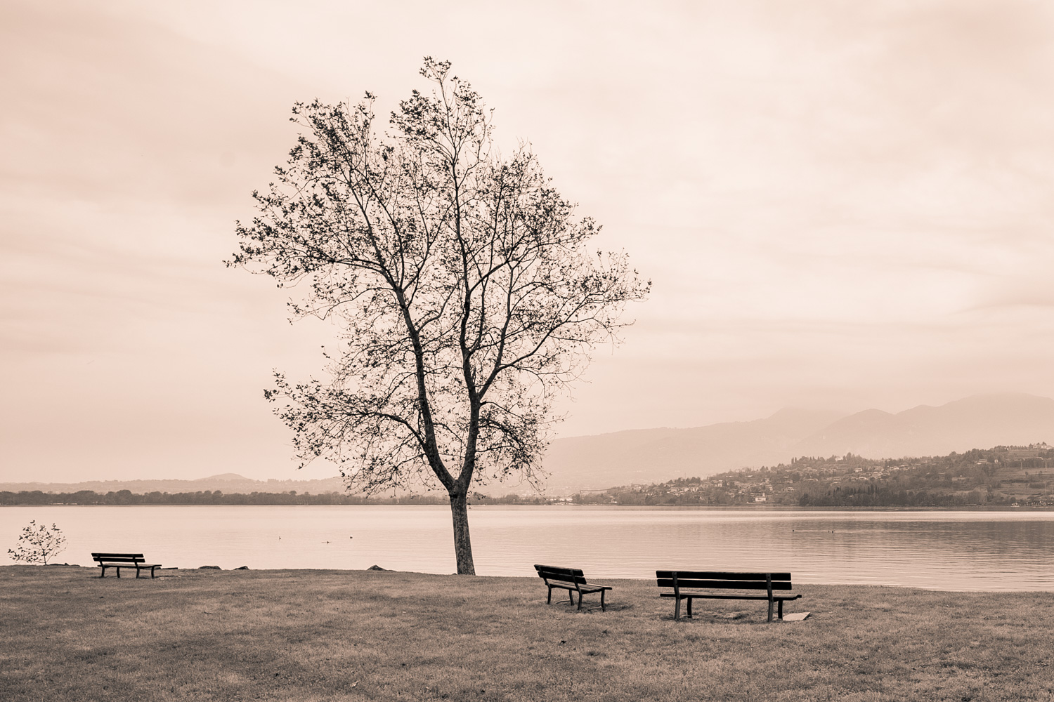 Veduta sul lago di Pusiano