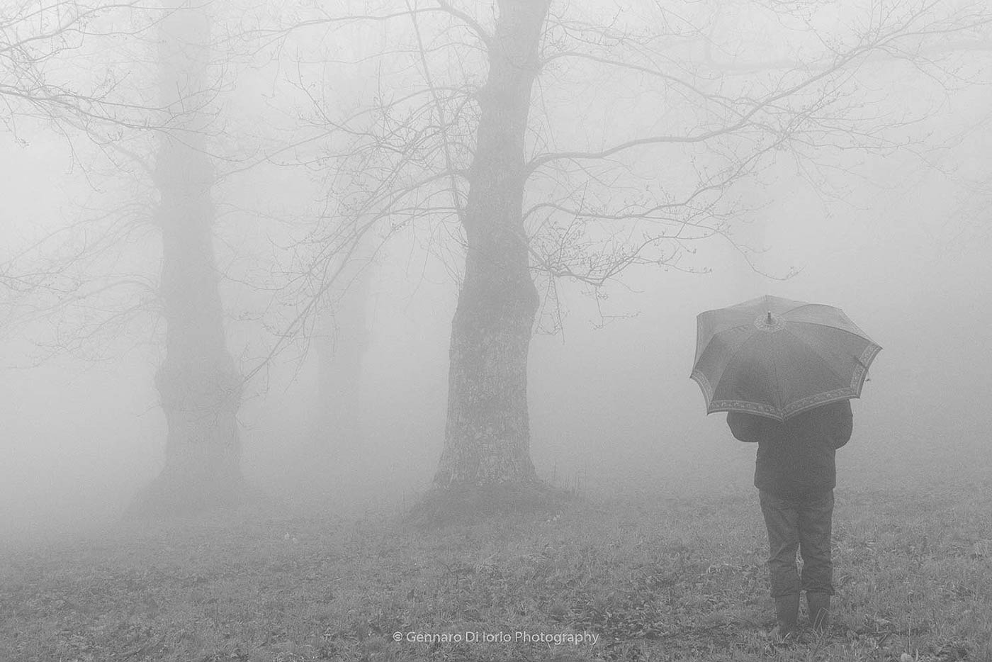 Un�atmosfera silenziosa...