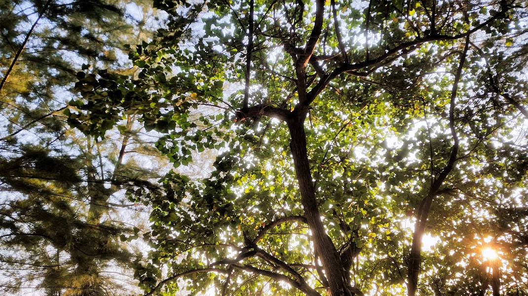 Giochi di (contro)luce