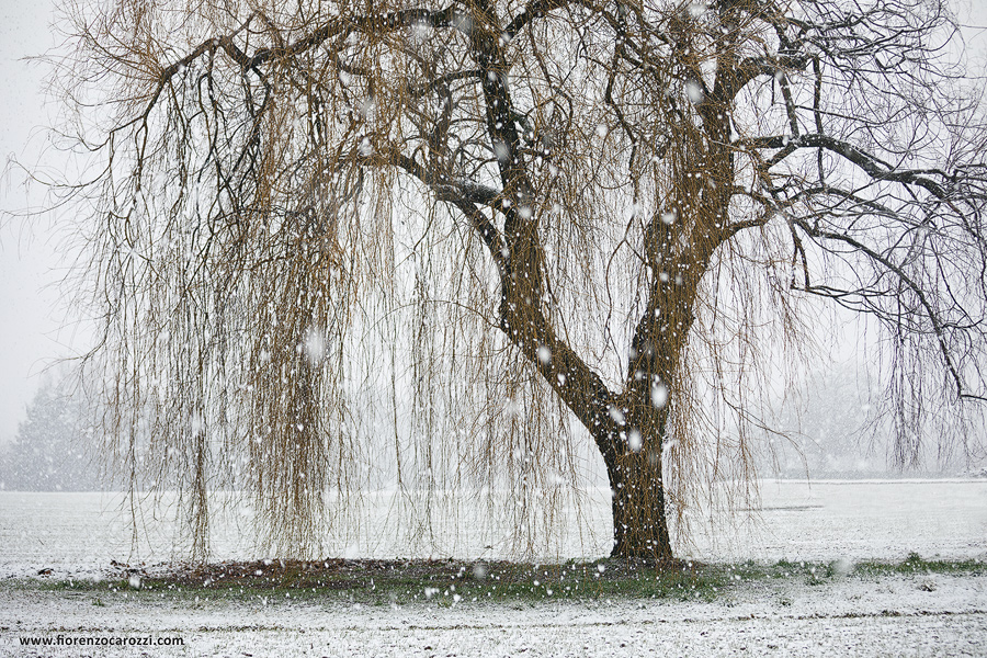 CRYING IN THE SNOW II