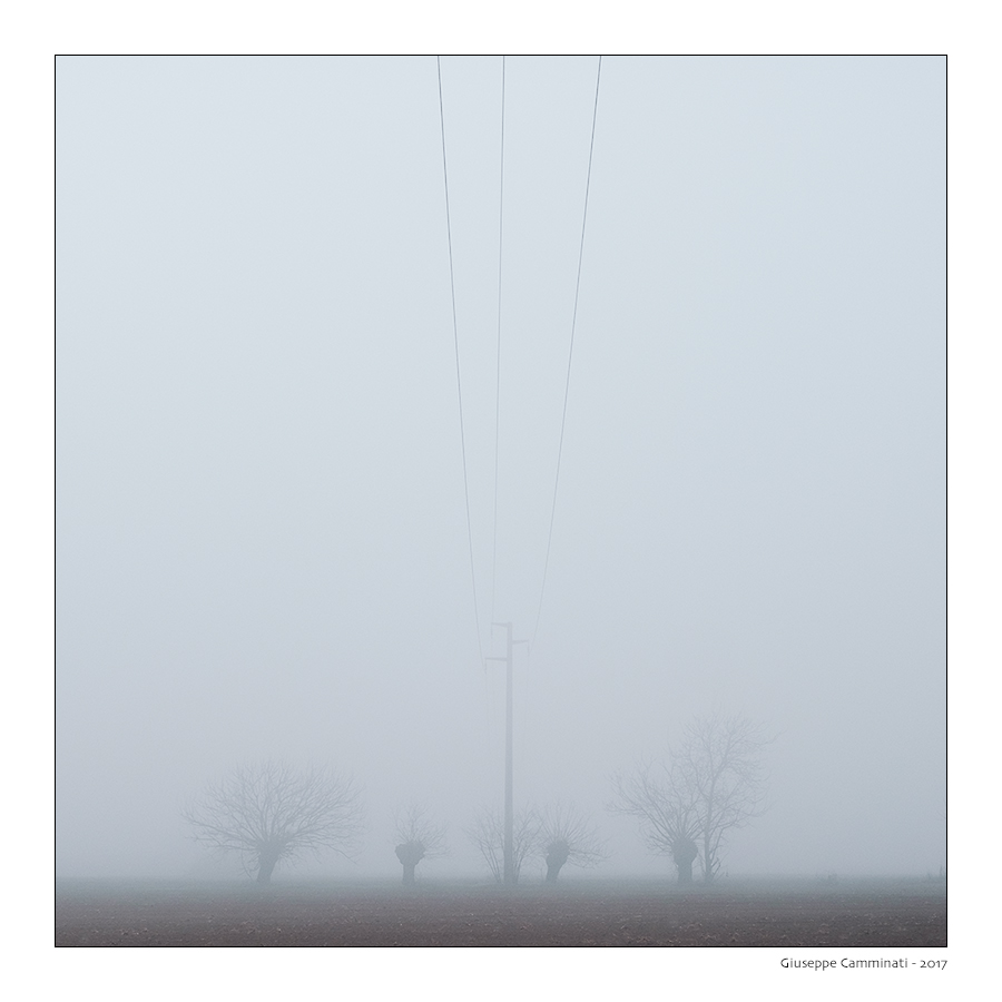 Nebbia elettrica