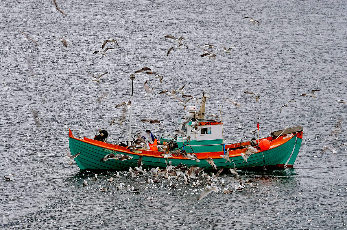 Piano piano ce n'� per tutti