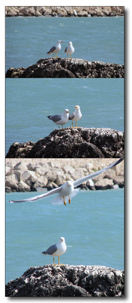 appuntamento finito male....