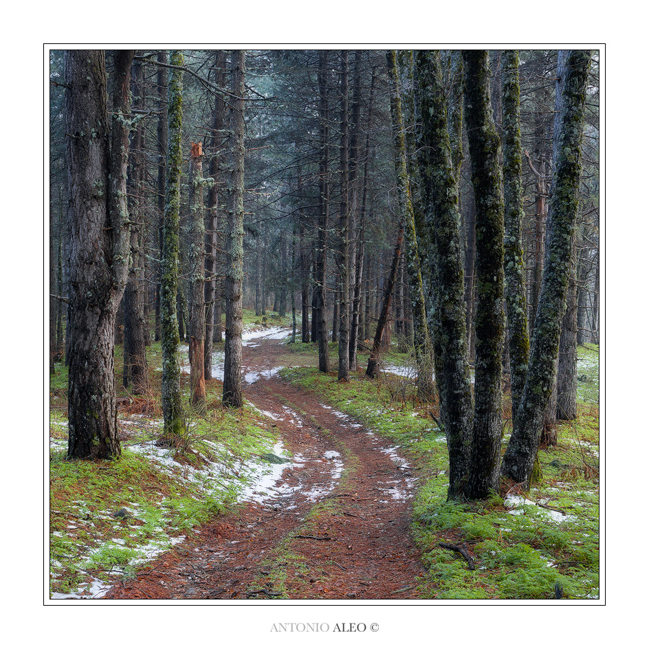 Sentieri di montagna