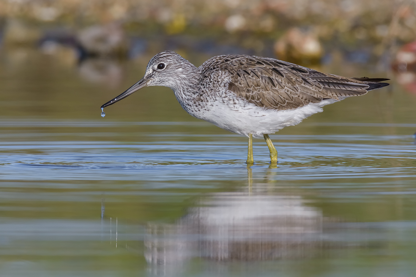 Se c'� la goccia...