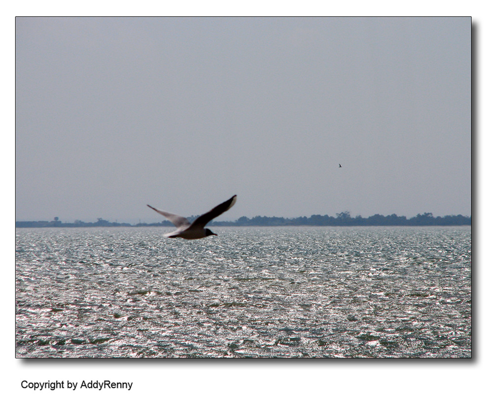 seguendo l'orizzonte...