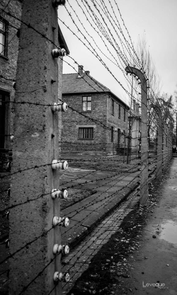 Aushwitz...una storia vera