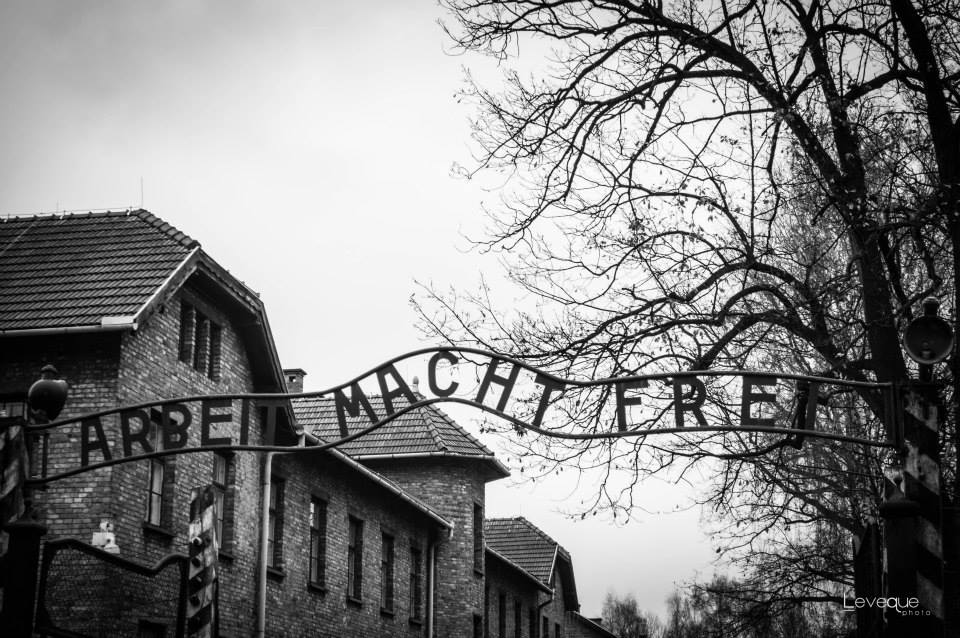 Auschwitz...una storia vera