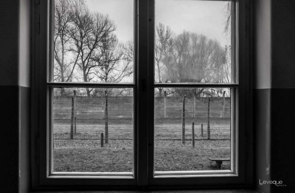 Auschwitz...una storia vera