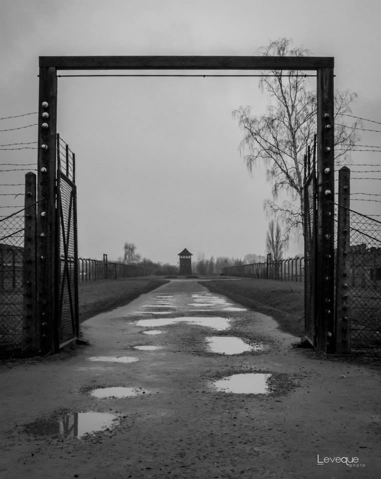 Auschwitz...una storia vera