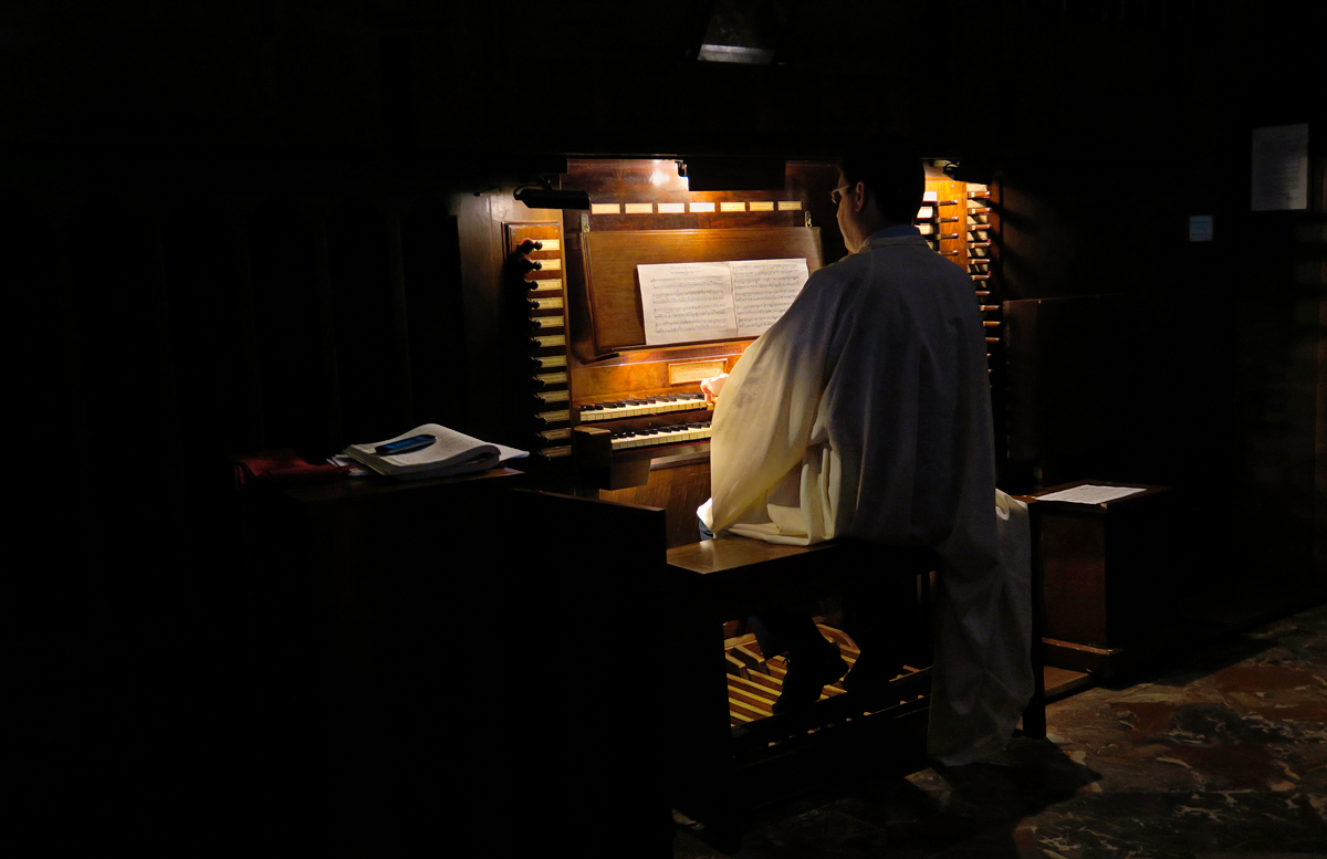 L'Organista