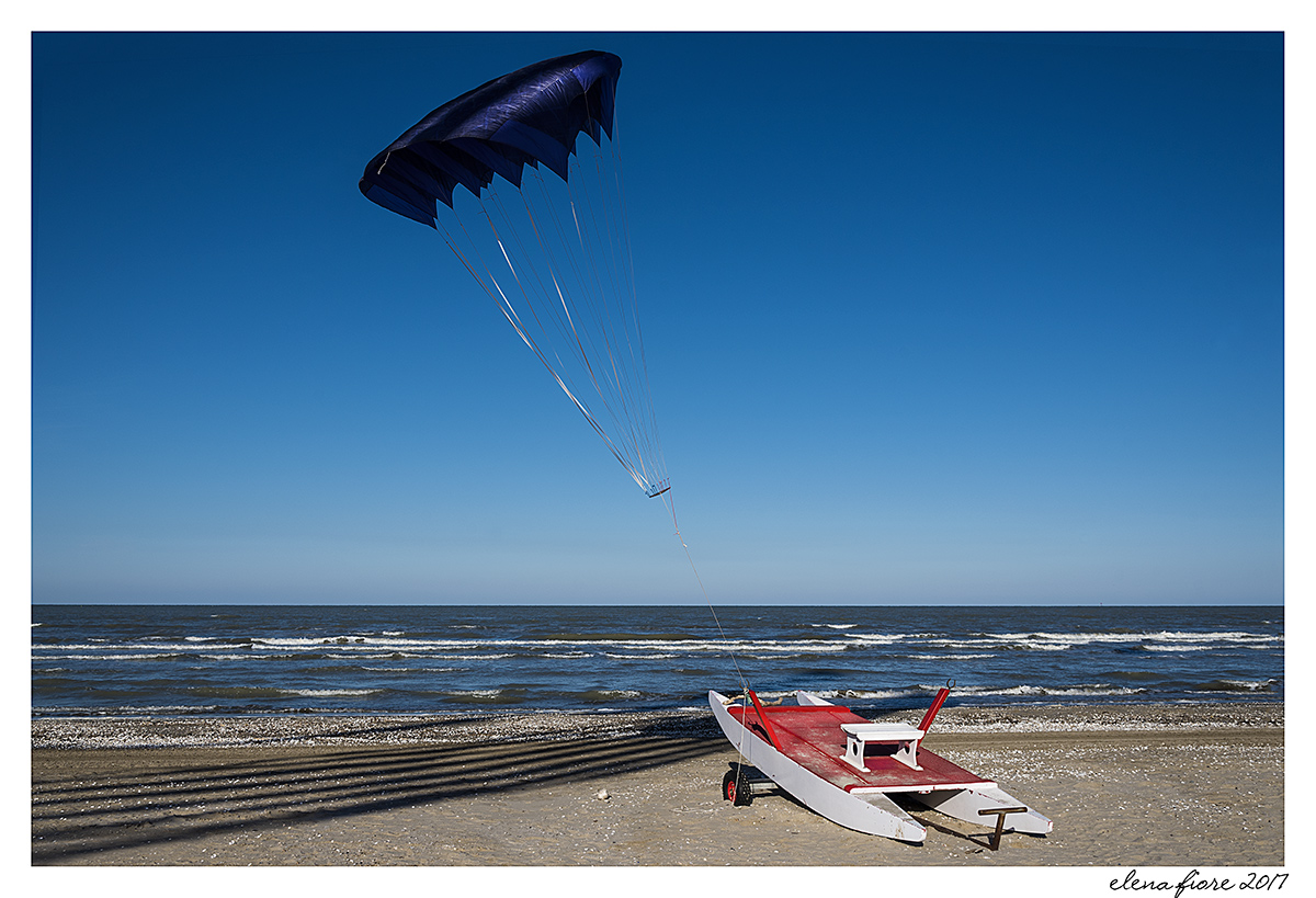 moscone...pronto a spiccare il volo