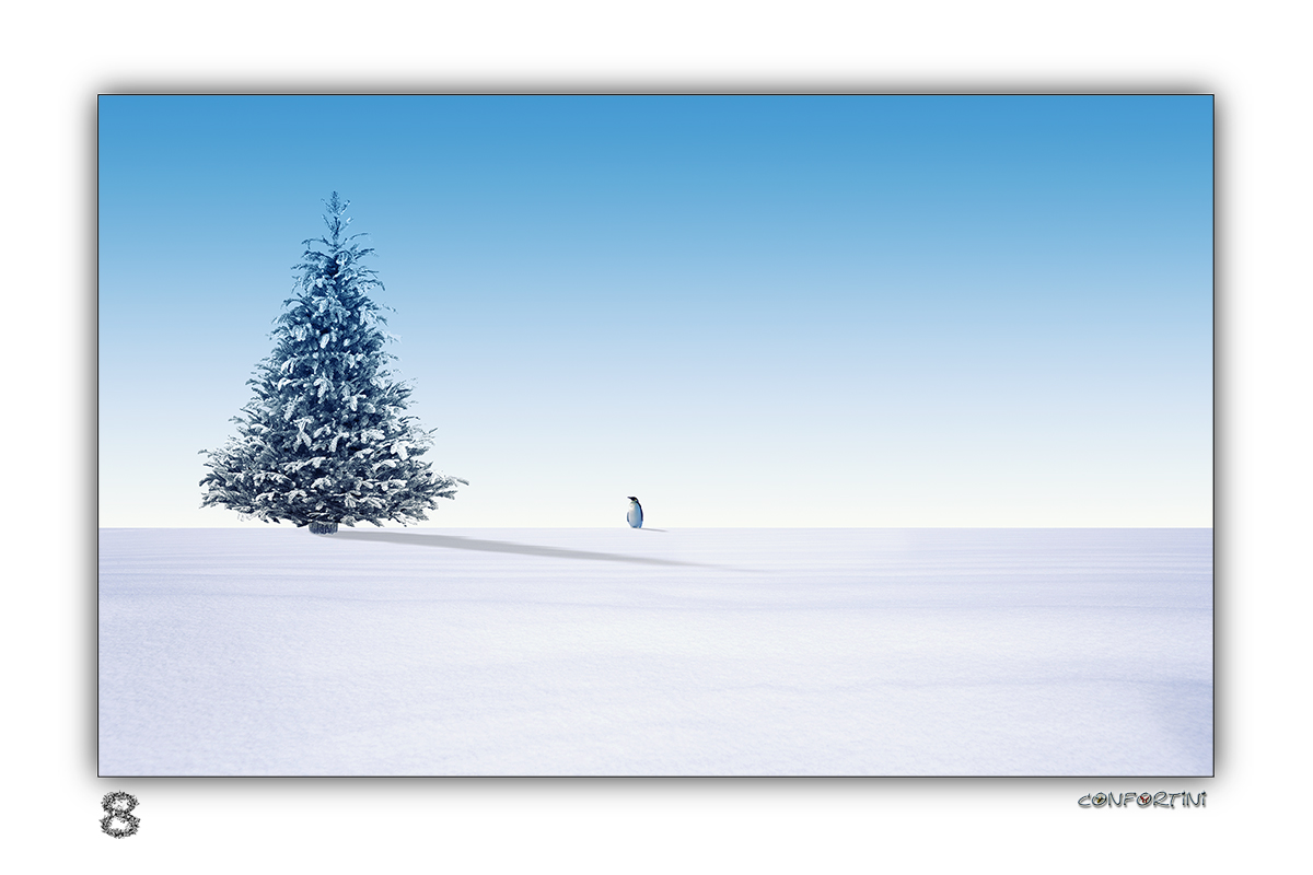 Personale 8 Antarica