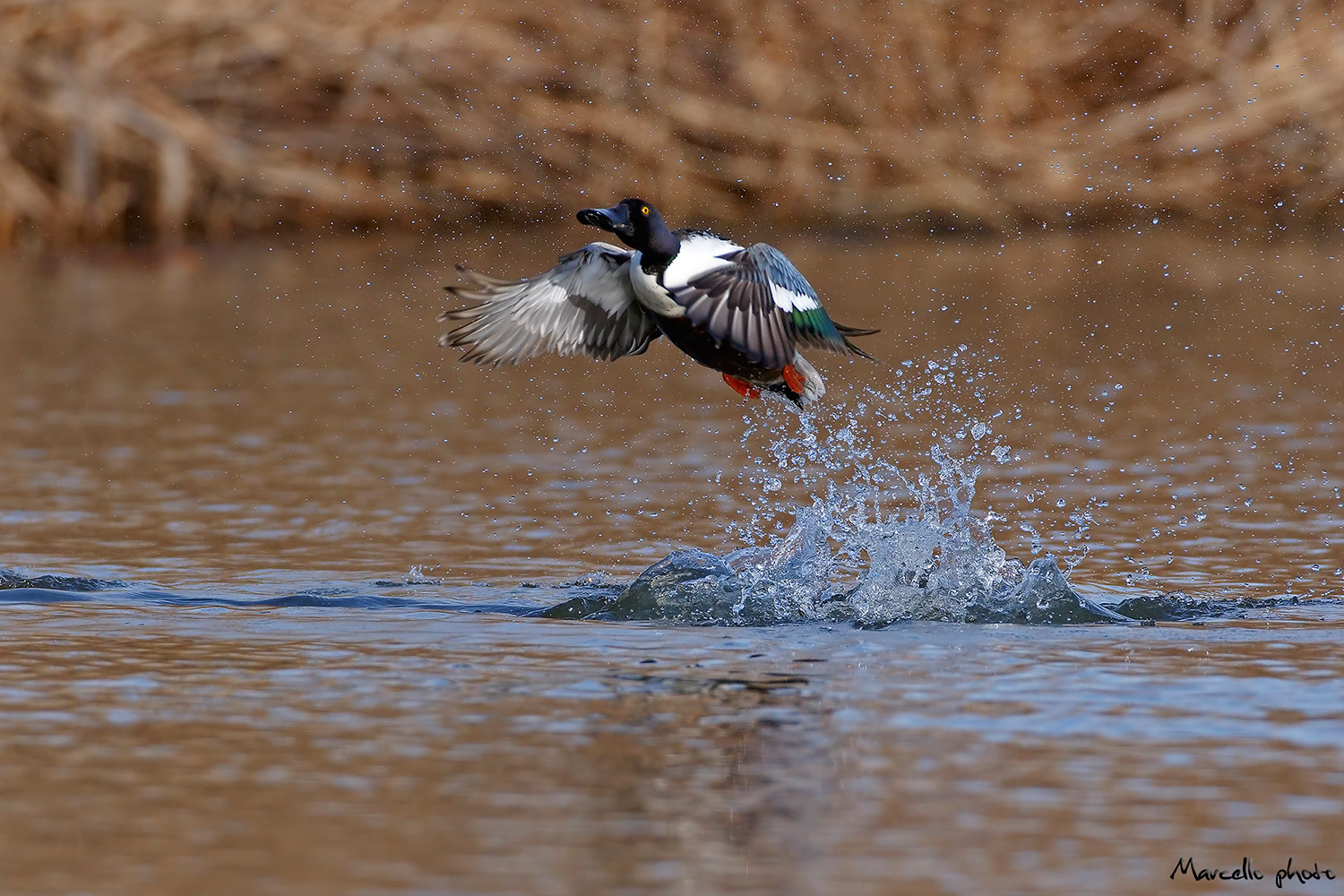 Mestolone allo stacco