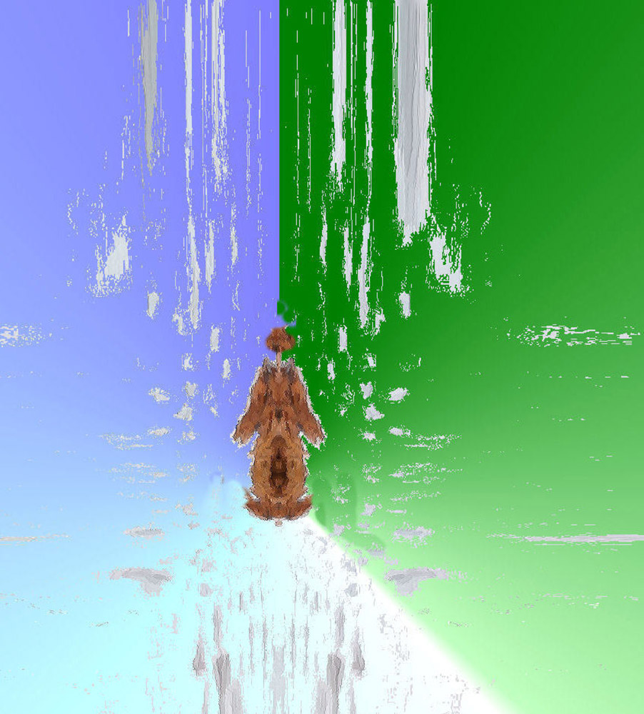 Fratello sole e ...............