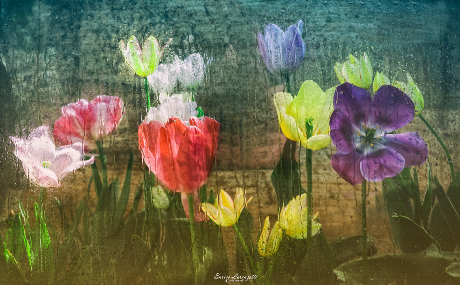 dipingere con i colori della natura..