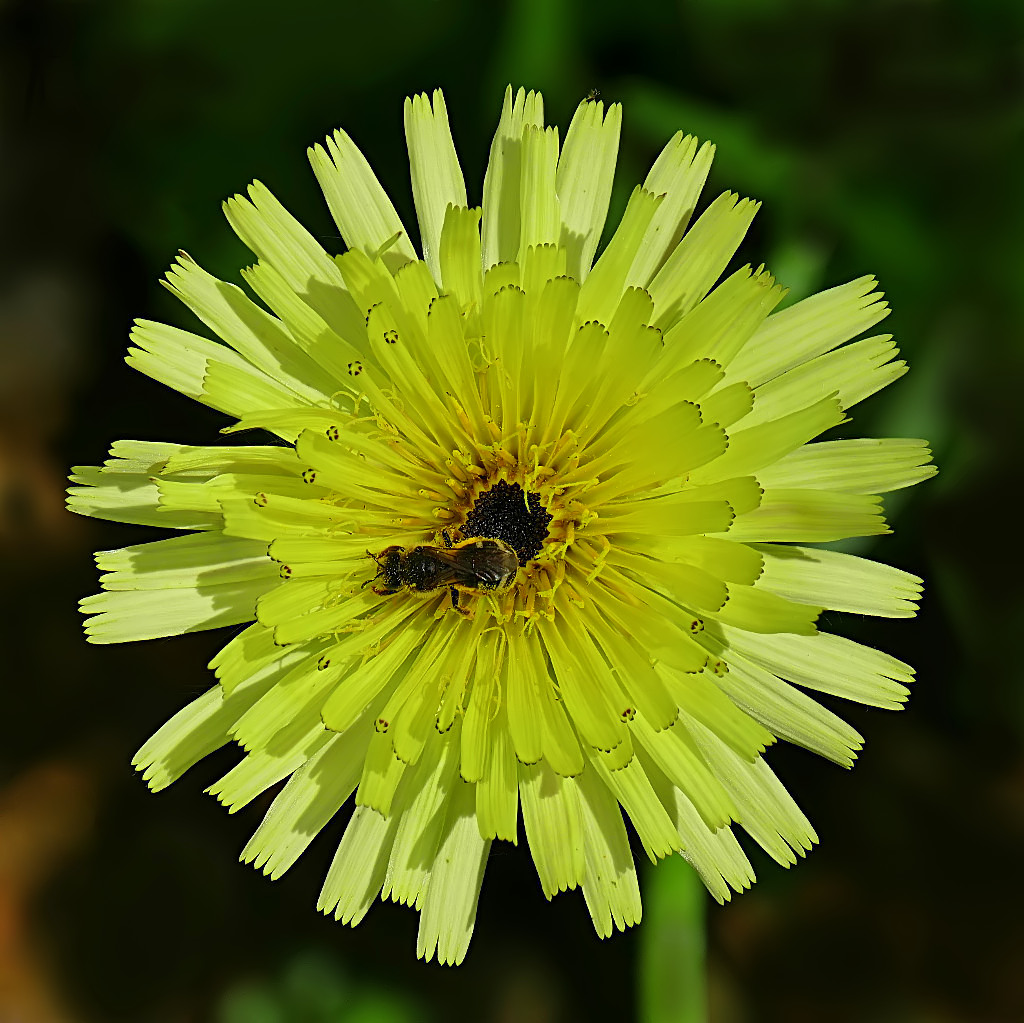 ***Nel bel mezzo di un'esplosione***