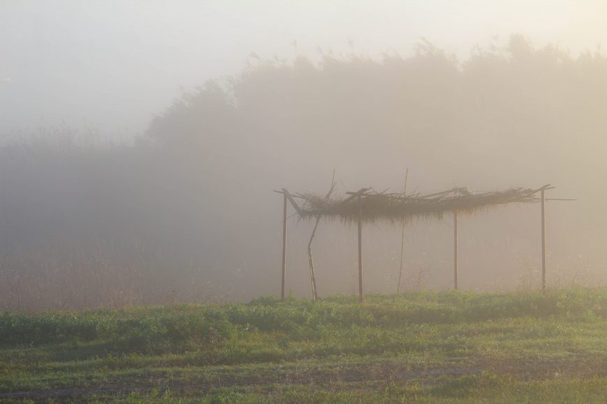 Monotonie campidanesi