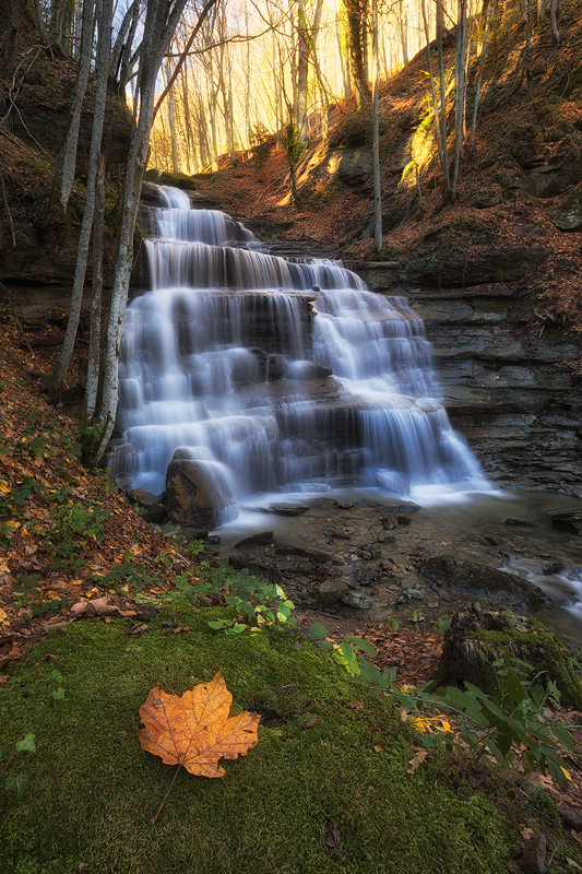 WATERFALL & AUTUMN