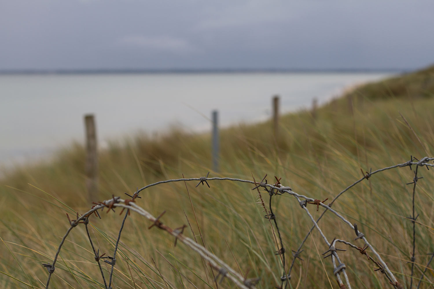 Utah Beach 1/3
