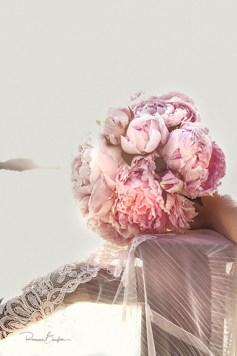 l'insostenibile leggerezza dei petali