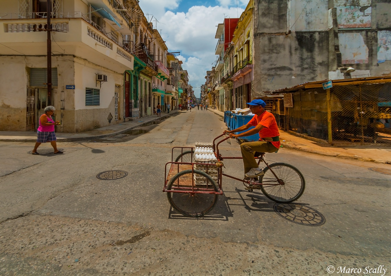 Cuidado a los huevos