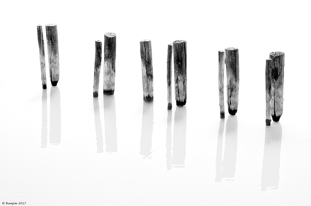 Ed io tra di voi....