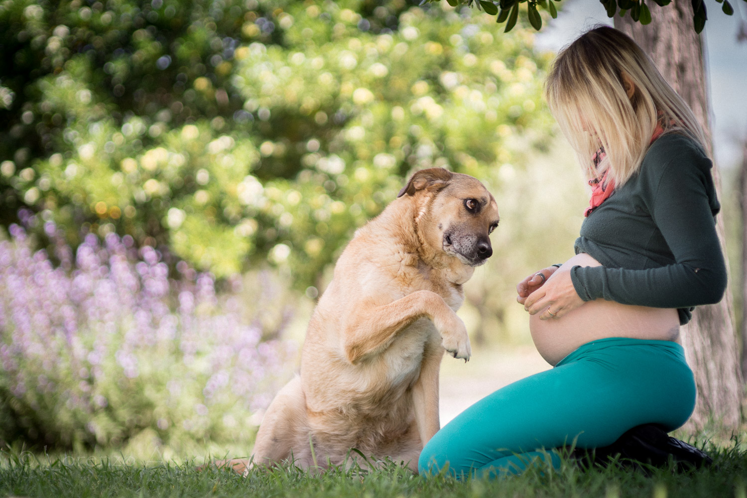 Lo so che c'� qualcuno!