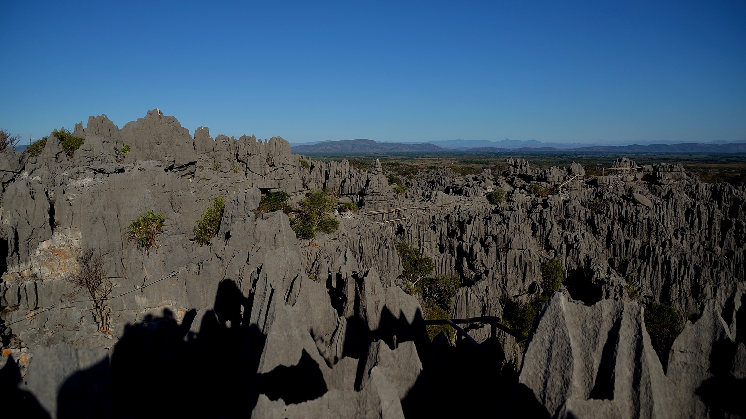 E dopo i rossi ....i grigi ma sempre tsingy