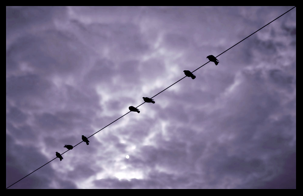 waiting for the rain